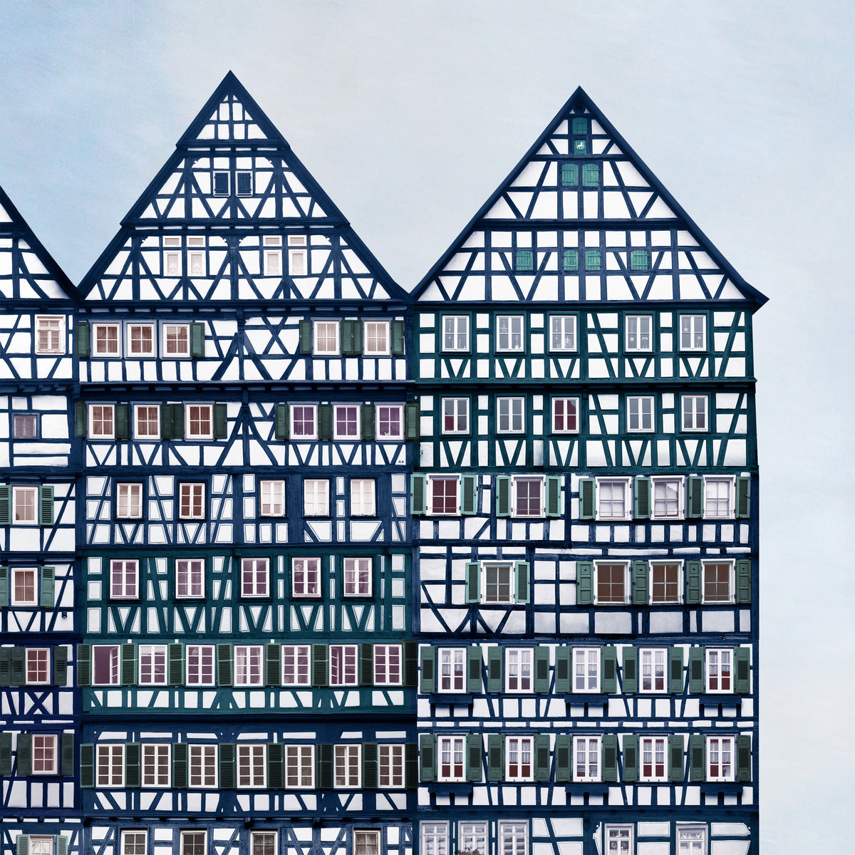 Im Fensteraugenwald (2025)